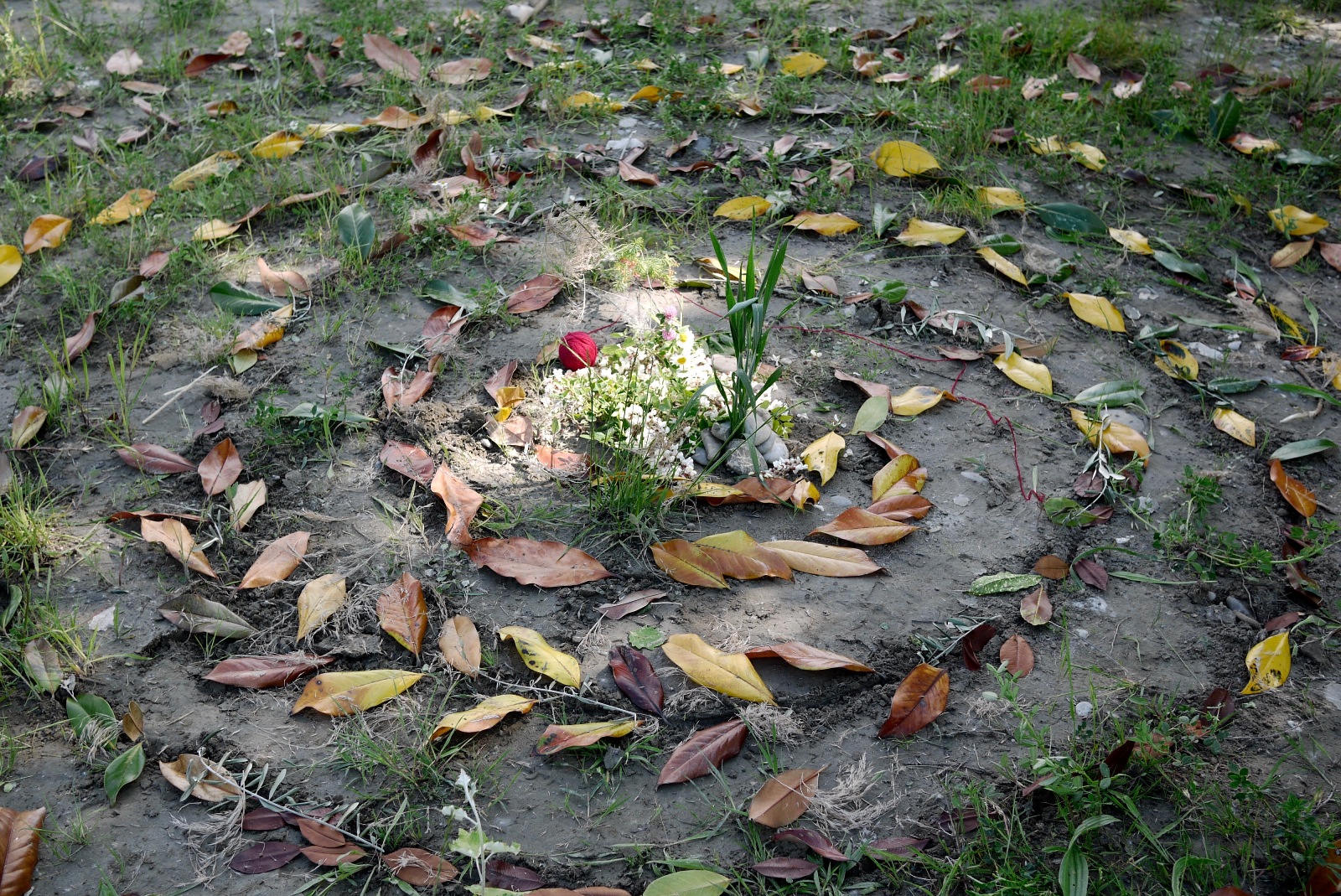 Nodi e Doni nella relazione con la madre - 4
